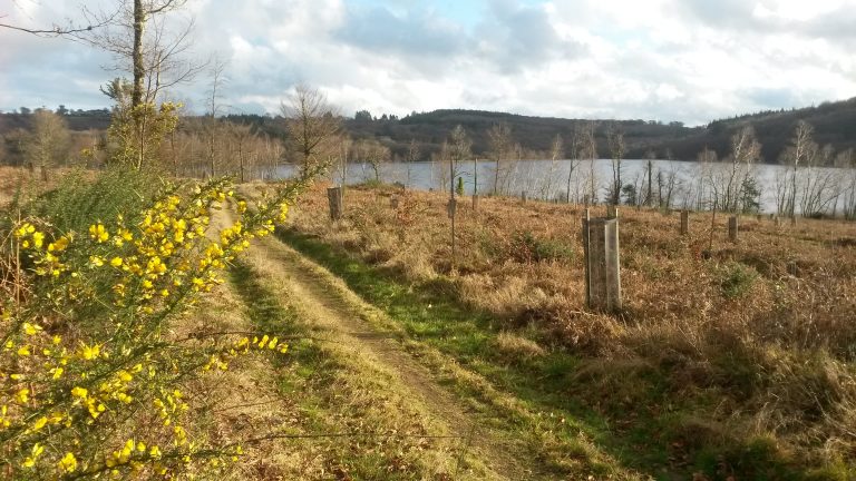 Le changement, un chemin de joie !