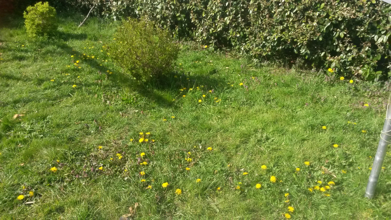 Confinement et gratitude… petites pépites !