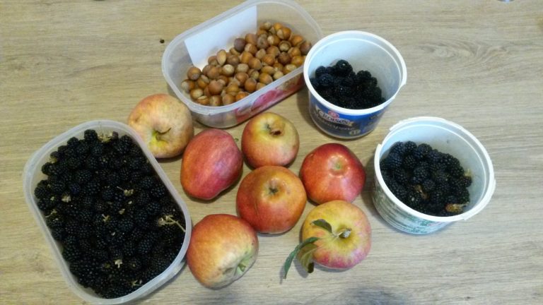 L&rsquo;automne, abondance, conservation et crumble !