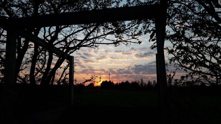 Confinement – semaine 7 ??!!! (déjà !)