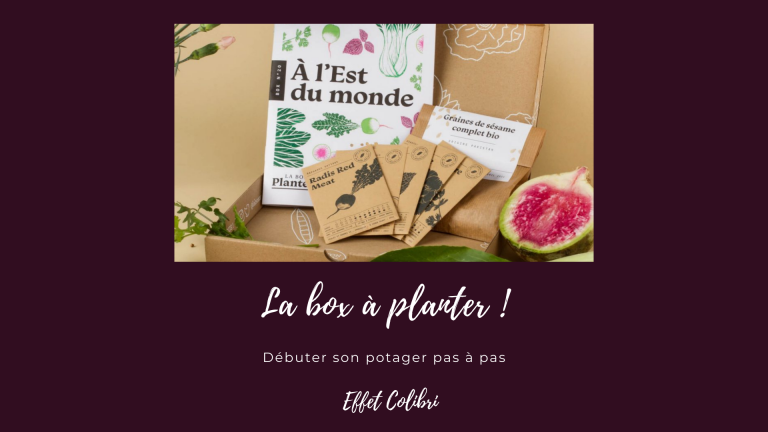 Offrir des graines avec la box à planter