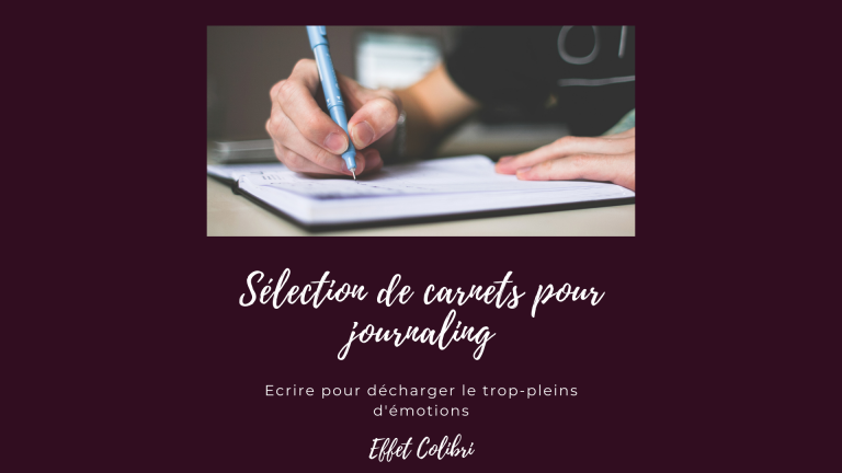 Carnet et journaling