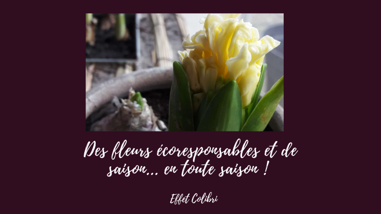 Fleurs et plaisir d&rsquo;offrir