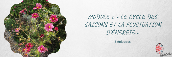 CAP COLIBRI – Module 6