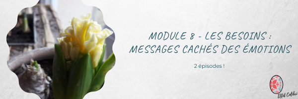 Cap Colibri – Module 8