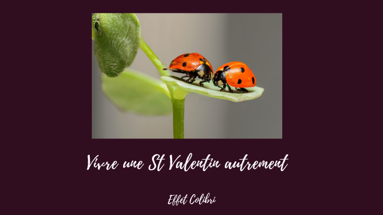 Vivre la St Valentin autrement