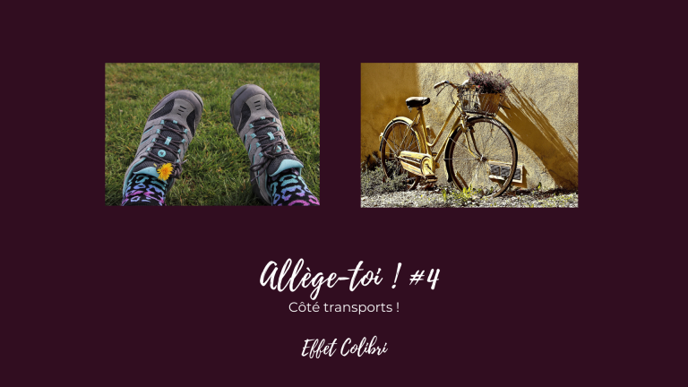 S&rsquo;alléger #4 – Les transports