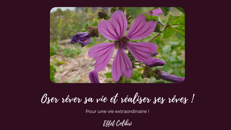 S&rsquo;autoriser à rêver !