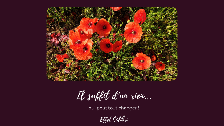 Il suffit parfois d&rsquo;un rien