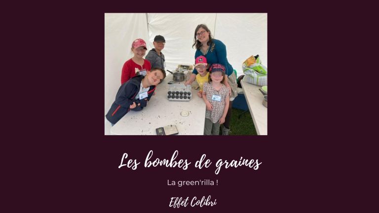 Les bombes de graines !