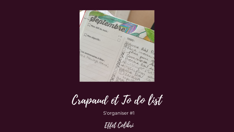 S&rsquo;organiser entre crapaud et to do list