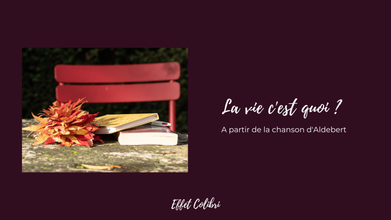 La vie c&rsquo;est quoi ?