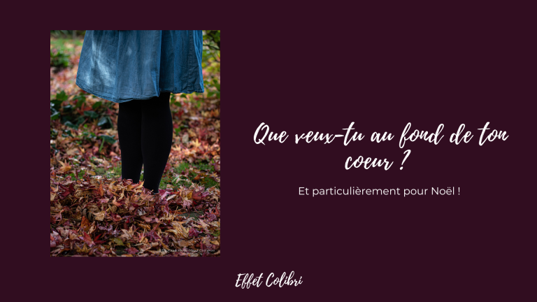 Je veux d&rsquo;la joie – Zaz