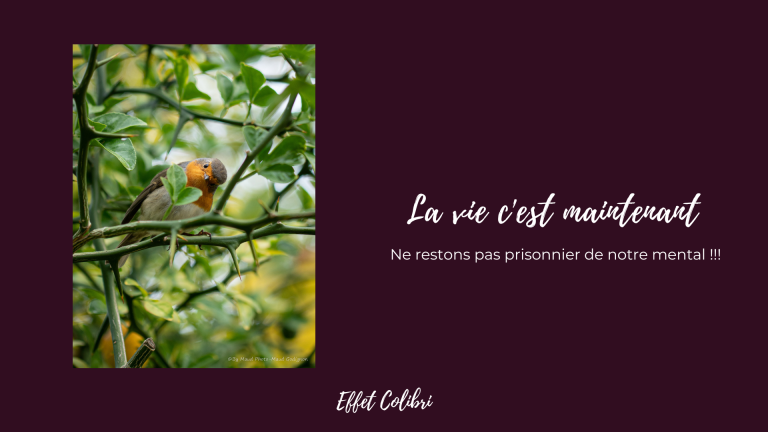 La vie c&rsquo;est maintenant !