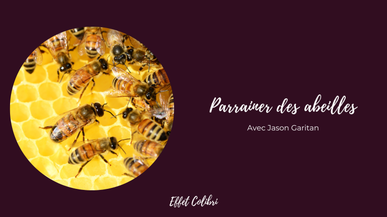 Parrainer les abeilles et le monde vivant !