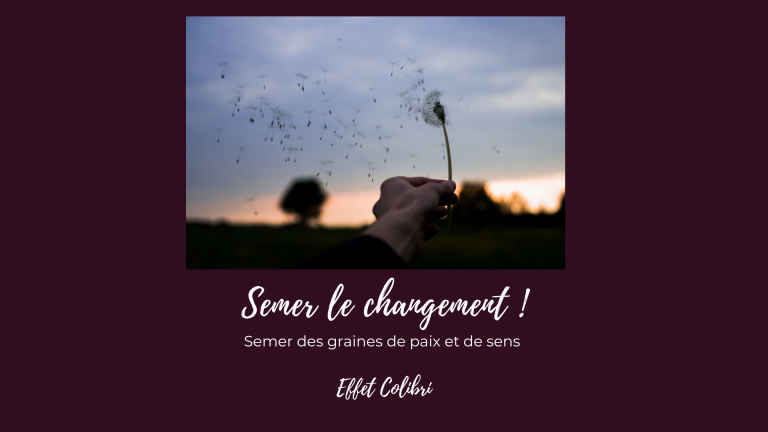 semer le changement effet colibri
