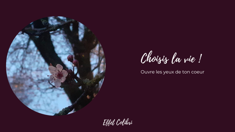 Choisis la vie