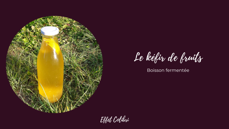 Le kéfir de fruits