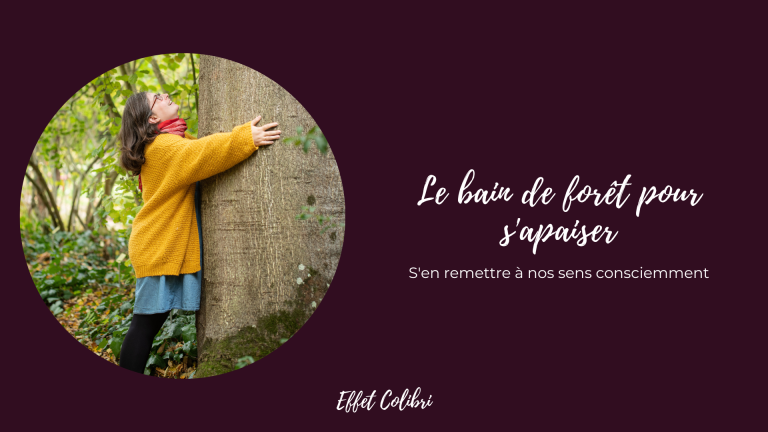 Le bain de forêt